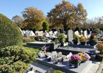 Photo de Cimetière de Noisy-le-Roi
