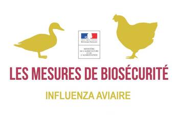Photo de Abaissement du niveau de risque vis à vis de l'influenza aviaire hautement pathogène