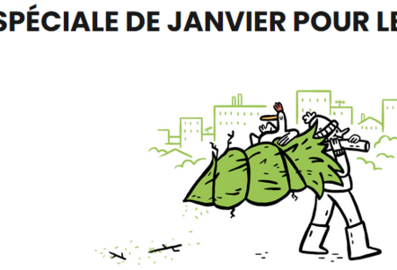 Collecte des sapins de Noël – Parcs à sapins 2025