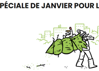 Photo de Collecte des sapins de Noël – Parcs à sapins 2025