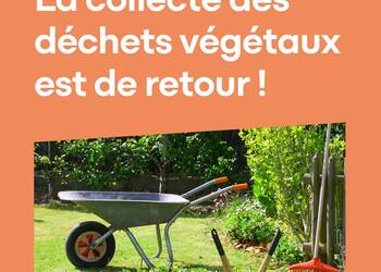 Photo de La collecte des déchets végétaux est de retour