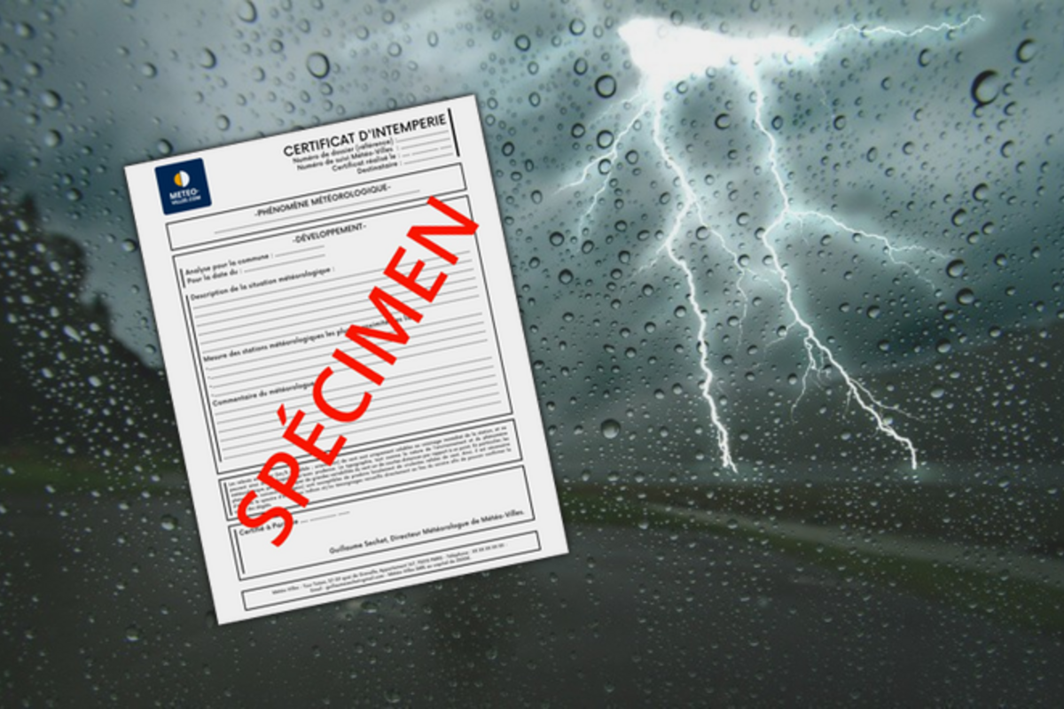 certificat-illus.png