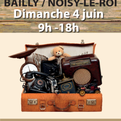 Photo de Brocante Bailly-Noisy-le-Roi