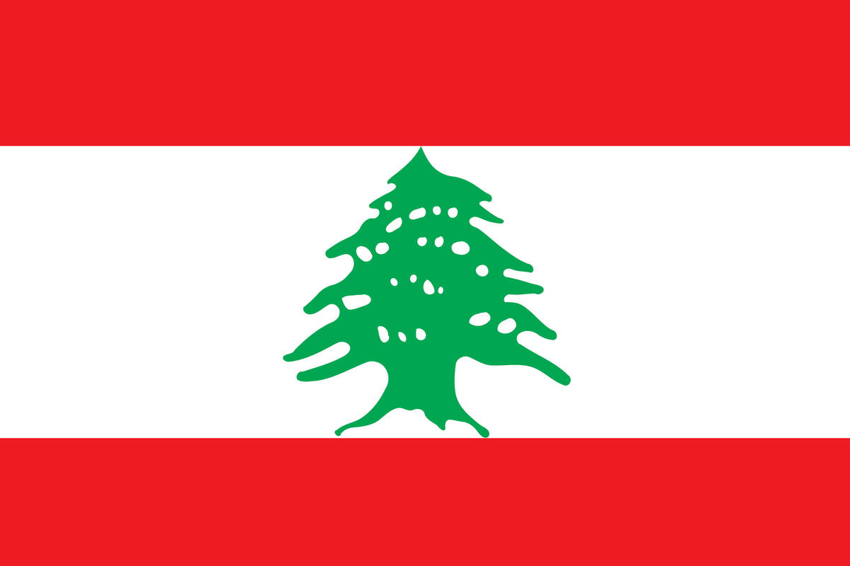 image_actu_site_drapeau.jpg