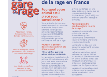 Photo de Surveillance sanitaire – Prévention de la Rage