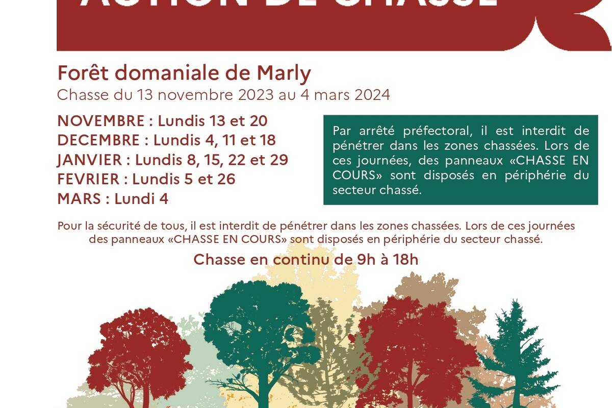 Affiche_chasse_Marly__002__page-0001.jpg