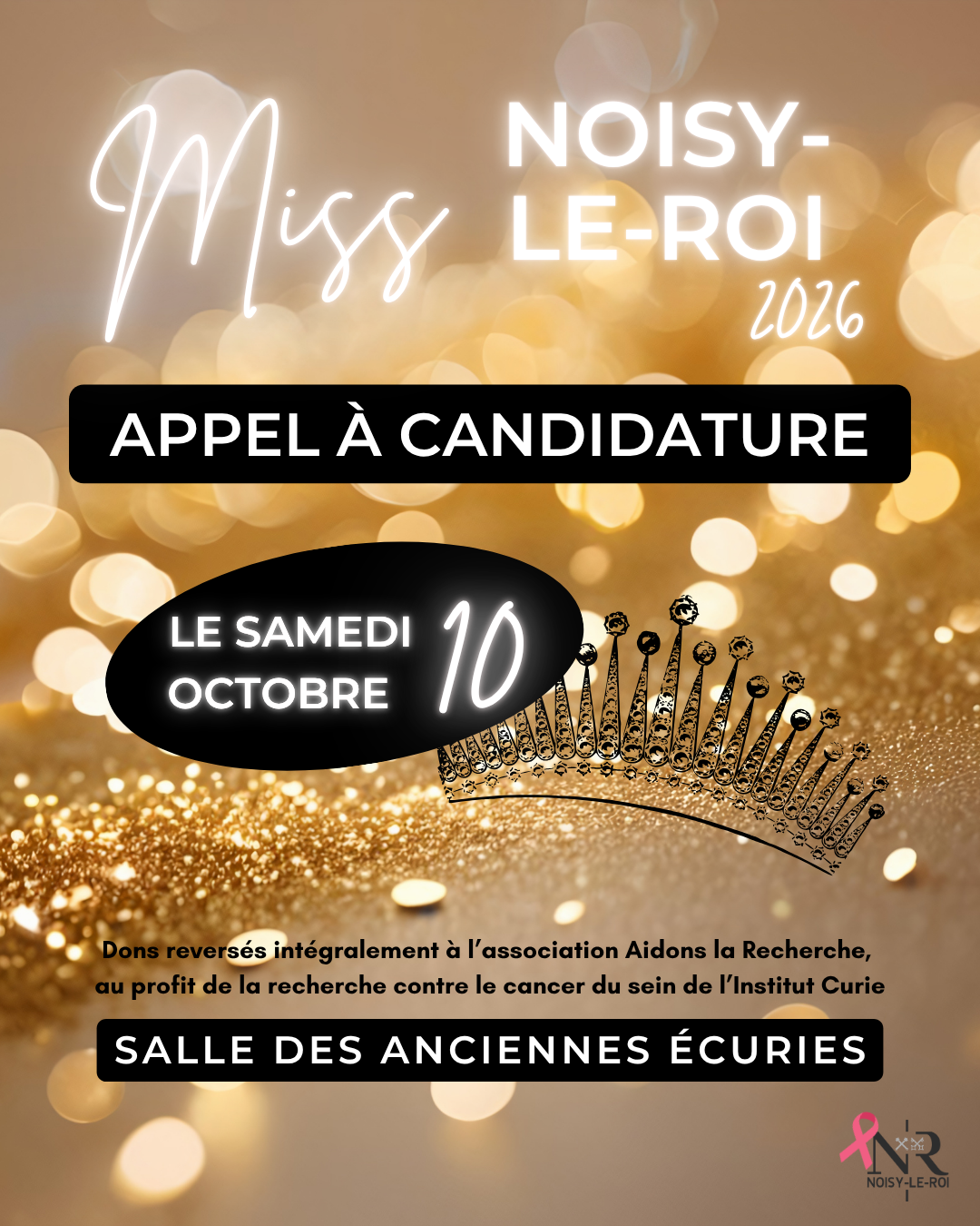 Photo de Miss Noisy-le-Roi 2026 – APPEL À CANDIDATURE